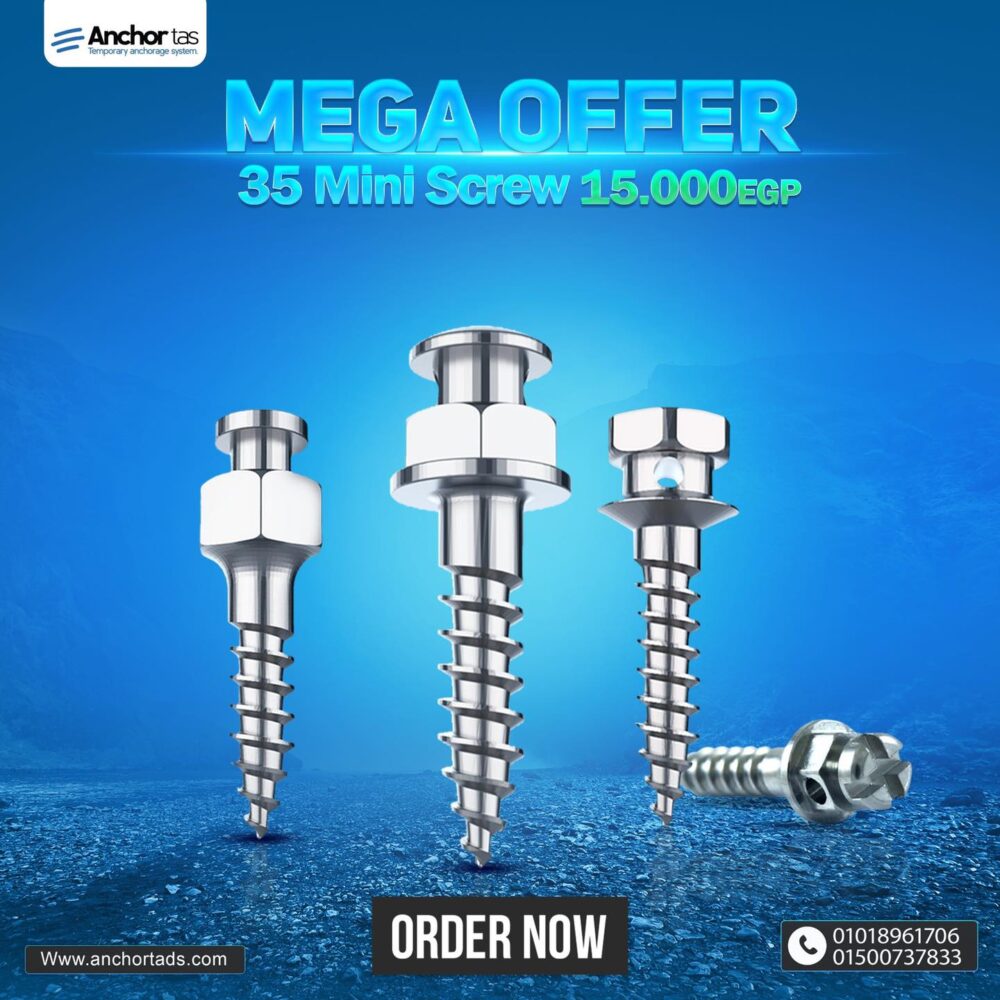 35 Mini Screws